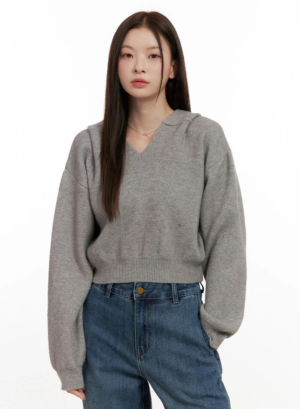 Cozy Hooded Knit Sweater ON422